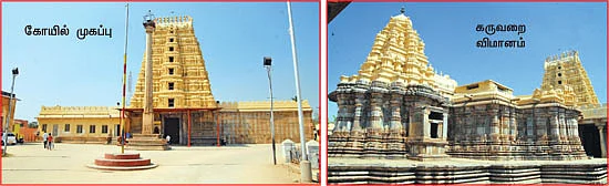 நலம் அருளும் நாகமங்களா!
