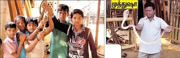 ஸ்நேக் சினேகிதன்!