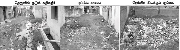 திரண்டு வரும் கொசுப் படை...