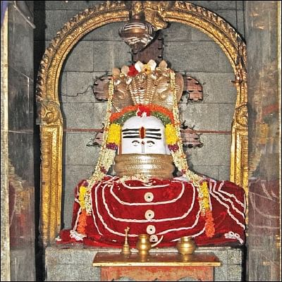 கேள்வி - பதில்: வாழை இலையில் முதலிடம் எதற்கு?