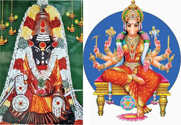 ஸ்ரீ வாராஹி தாயே சரணம்!
