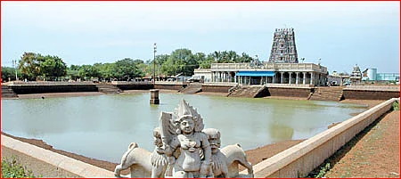 வம்சம் தழைக்க... செவ்வாய் பொங்கல்!