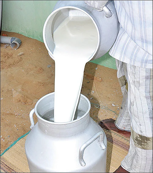 குளத்தைக் காணோம்... பரிதவிக்கும் மக்கள்!
