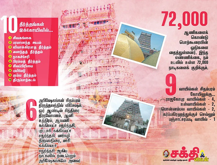 தில்லை தரிசனம்!