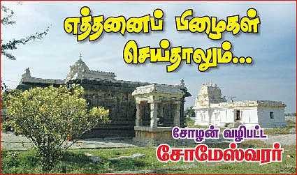 எத்தனை பிழைகள் செய்தாலும்...