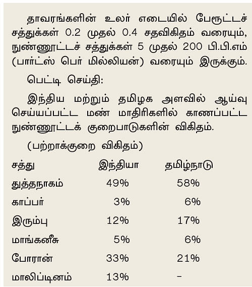 மண்ணுக்கு மரியாதை! - 07