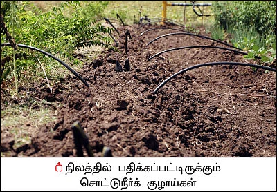 தேவையான நேரத்தில் அளவான தண்ணீர்