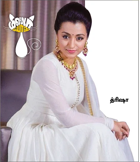 மிஸ்டர் மியாவ்
