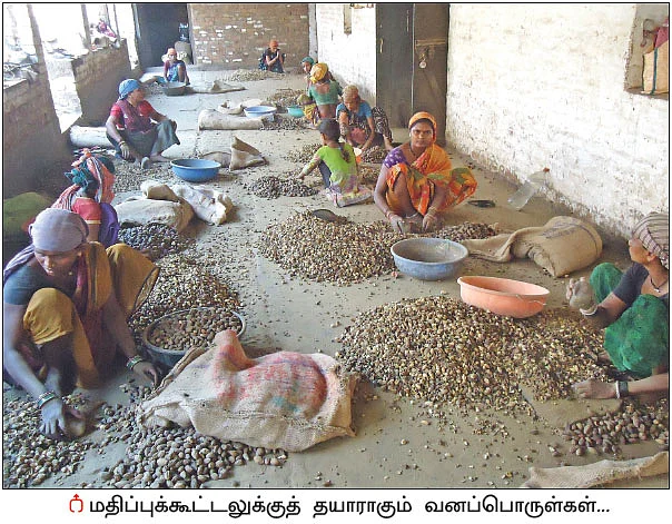 சத்தீஸ்கர் மாநிலத்தில் மலரும் இயற்கை விவசாயம்!