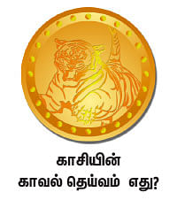 நாரதர் உலா