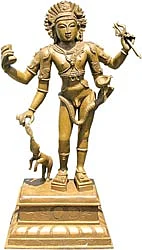 இளமையே இனிமை