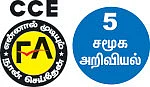 வயலின் என்ன வகையான இசைக் கருவி?
