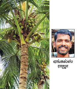 நீங்கள் கேட்டவை