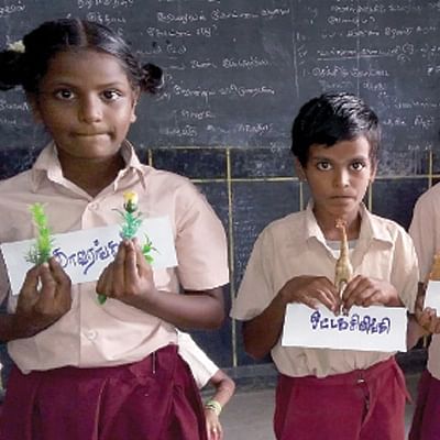 பூக்களில் குழுச் செயல்பாடு!