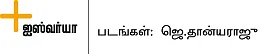 மூட்டுவலிக்கு முடக்கத்தான்... ஆயுளை நீட்டிக்க ஆவாரம் பூ!