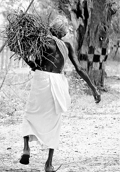 உழைப்பின் வாரா உறுதிகள் உளவோ?