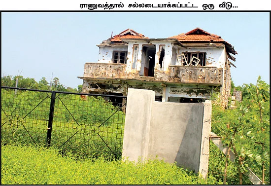 புலித்தடம் தேடி...