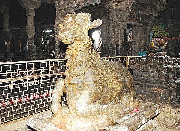 மங்கலங்கள் அருளும் ஆடித்தபசு! - சிறப்புத் தொகுப்பு