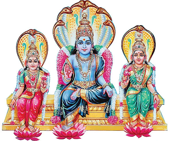 மன்மத வருடம்... ராகு, கேது பலன்கள் !