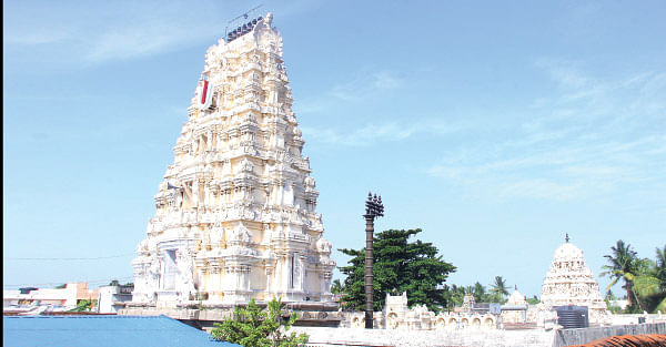 சுகங்கள் யாவும் அருளும் சுவாதி தரிசனம்!