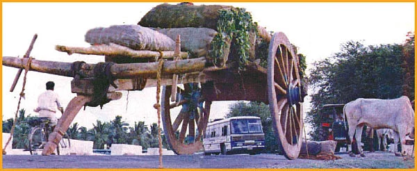 ரூட் பஸ்!