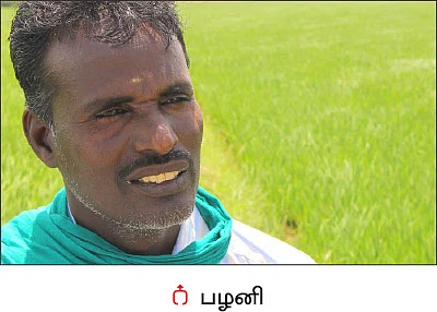 விருது வாங்கிக் கொடுத்த நெல் சாகுபடி!