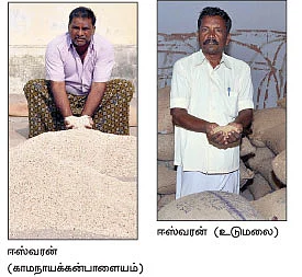 இது, சிறுதானியங்களின் சங்கமம்... திருப்பூர் வேளாண் விற்பனைக்கூடம்...