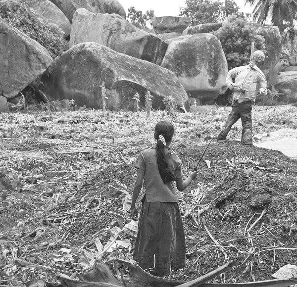 ஆண்பால் பெண்பால் அன்பால் - 35