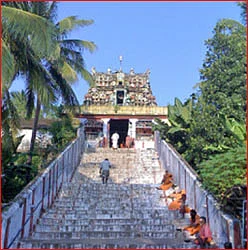 வாசகர் தகவல்கள்