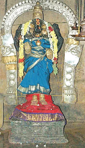 அம்மன் காசு!