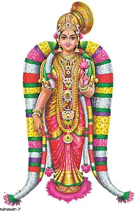 வாசகர் தகவல்கள்