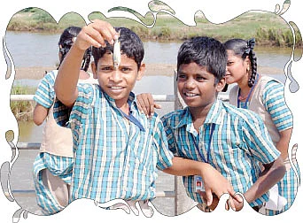 மீன்