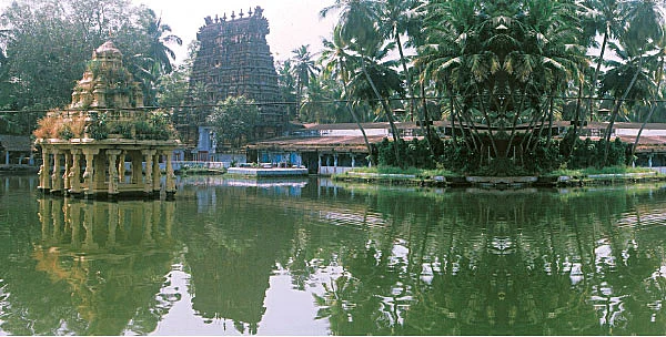 'கோவிந்தா... கோபாலா...’