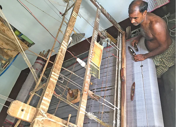பாரம்பர்யப் பருத்தியை மீட்டெடுத்த ‘துலா’! - விளையும் விலையும்! - 17