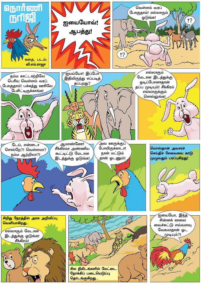 நொர்ணி நரிஜி