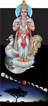 தாய்க்குலத்தை உயர்த்தப்போகும் கர வருடம்