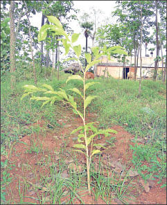 நீங்கள் கேட்டவை