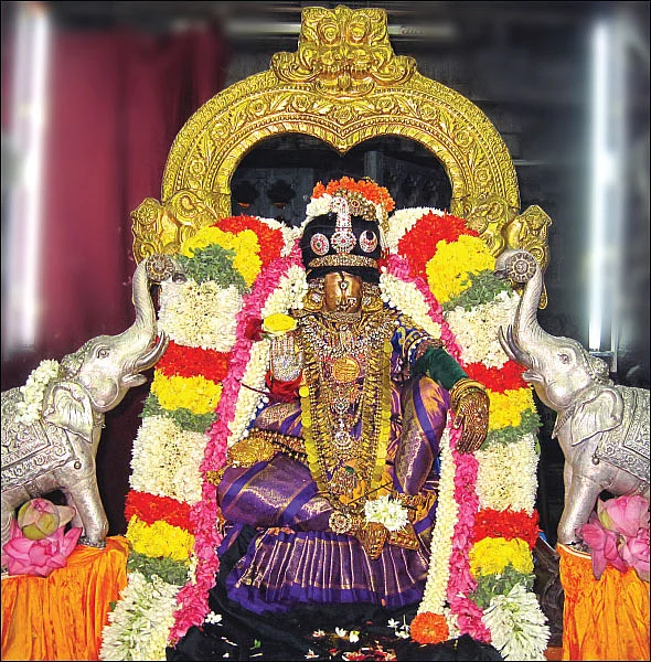அல்லிக்கேணியில் அழகுத் திருக்கோலம்!