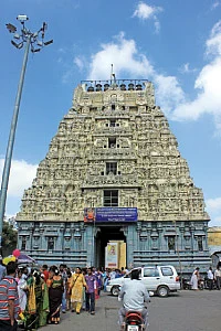 தேவி சரணம்!