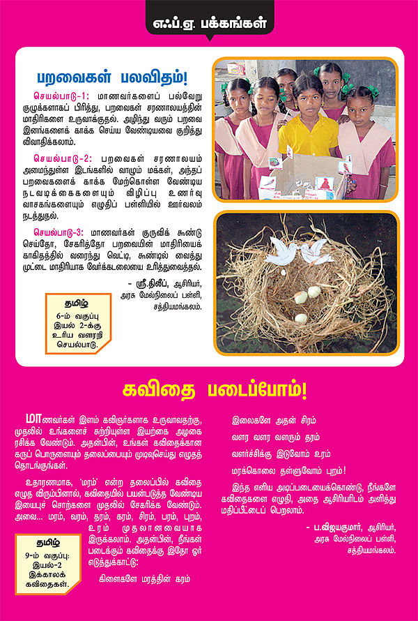 பறவைகள் பலவிதம் !