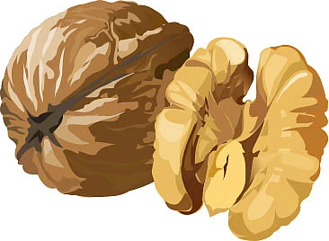 சன்ஸ்கிரீன் உணவுகள்!