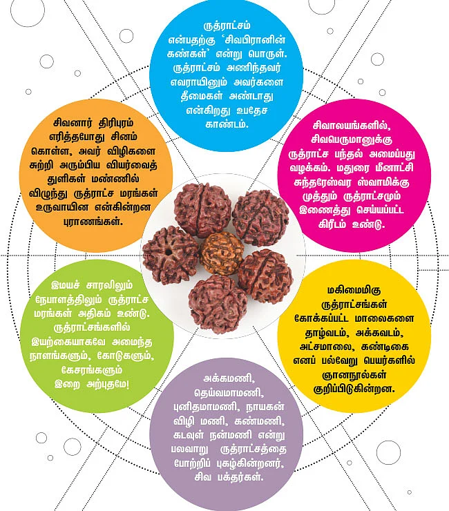 ஆஹா... ஆன்மிகம்! - ருத்ராட்சம்