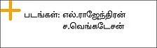 பழங்கள் உணவுக்கு முன்பா? பின்பா?