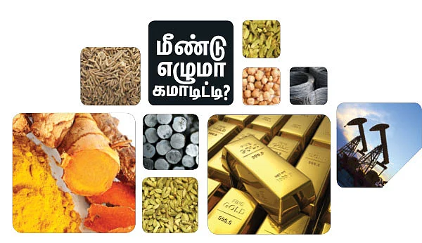 மீண்டு எழுமா கமாடிட்டி ?