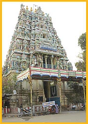 திருவிளக்கு பூஜை: கூடலழகர் கோயில்