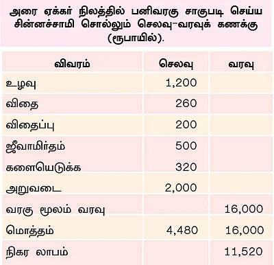 மானாவாரியில் பனிவரகு...