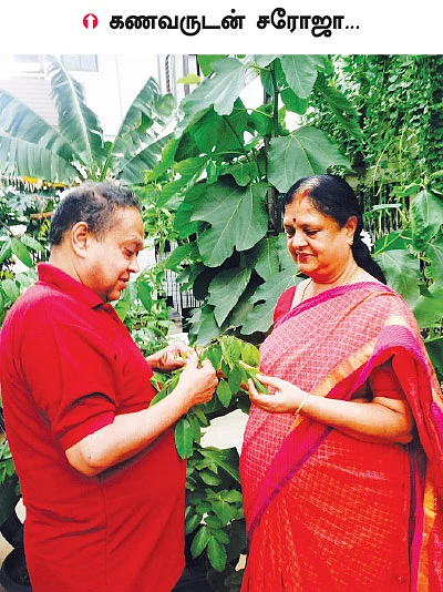 சுவைக்கு சுவை... ஆரோக்கியத்துக்கு ஆரோக்கியம்!