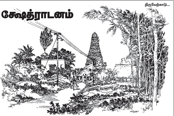 அருட்களஞ்சியம்
