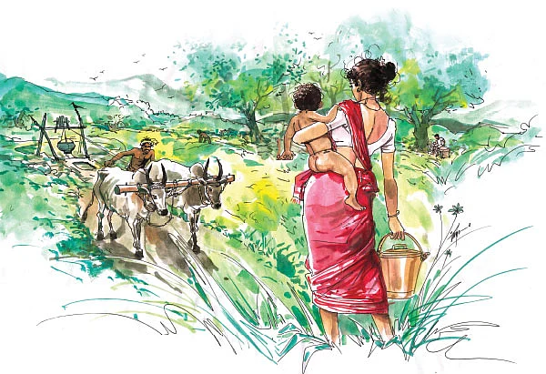 ரசாயனக் கலப்பை