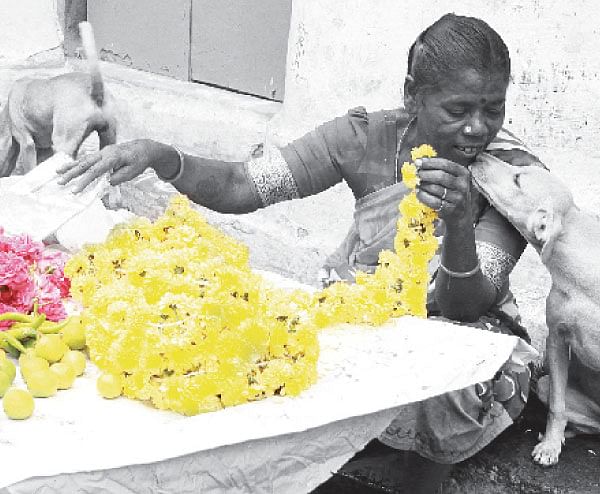 வாழ்க்கை அஞ்சலை பாட்டி